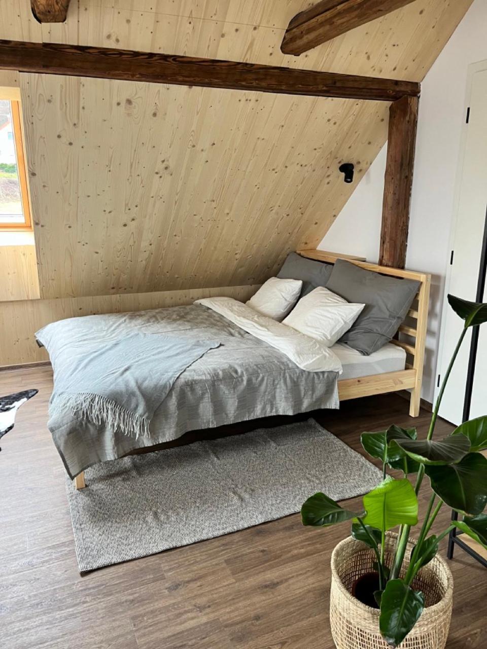 Sanky Apartmany ليبيريتش المظهر الخارجي الصورة